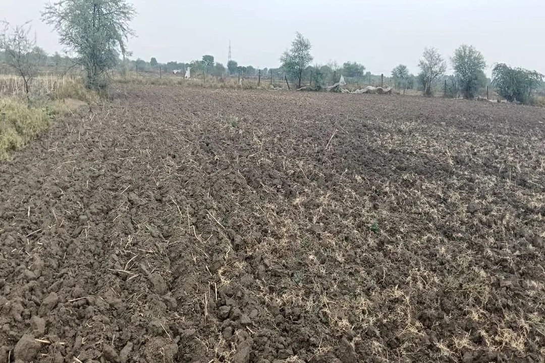 swm news: मानसून की बेरुखी: रफ्तार नहीं पकड़ पा रही खेतों में खरीफ की बुवाई