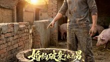 婚約破棄された男、ボロい豚桶が秘宝だった | 全話 | Short Drama 日本語