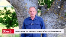 544 yıldır ayakta: Köylüler onu gözü gibi koruyor