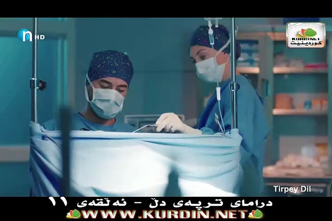 ترپەی دڵ ئەڵقەی 11