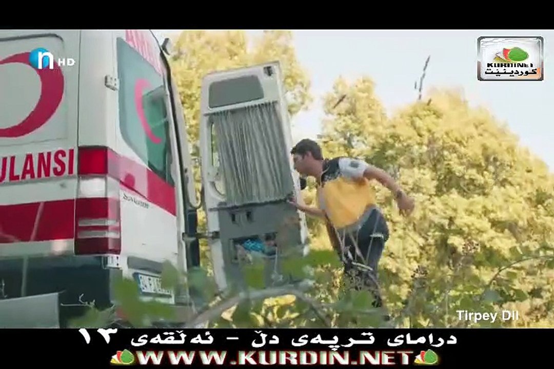 ترپەی دڵ ئەڵقەی 13