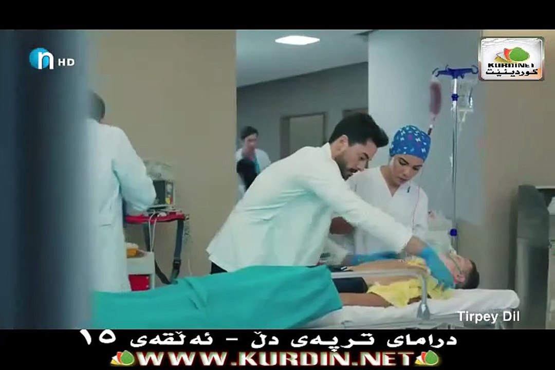 ترپەی دڵ ئەڵقەی 15