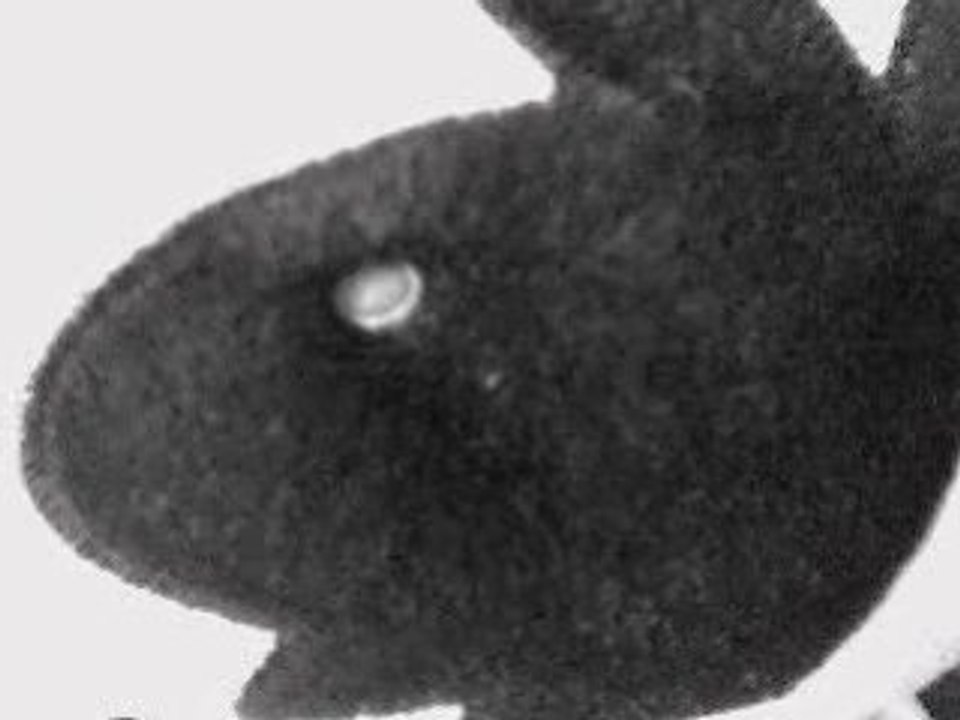 "Eux", chanson écrite et chantée par Carmen.