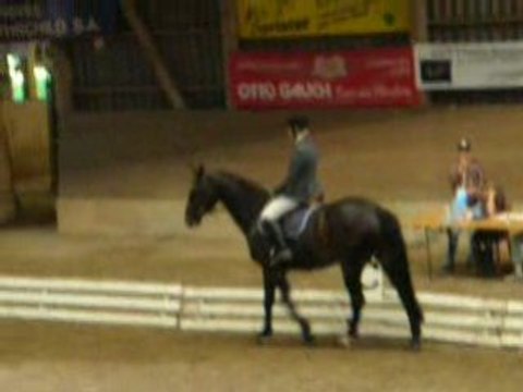 Joy concours dressage 28.06.08
