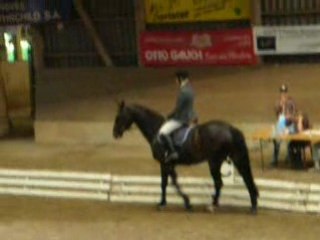 Joy concours dressage 28.06.08