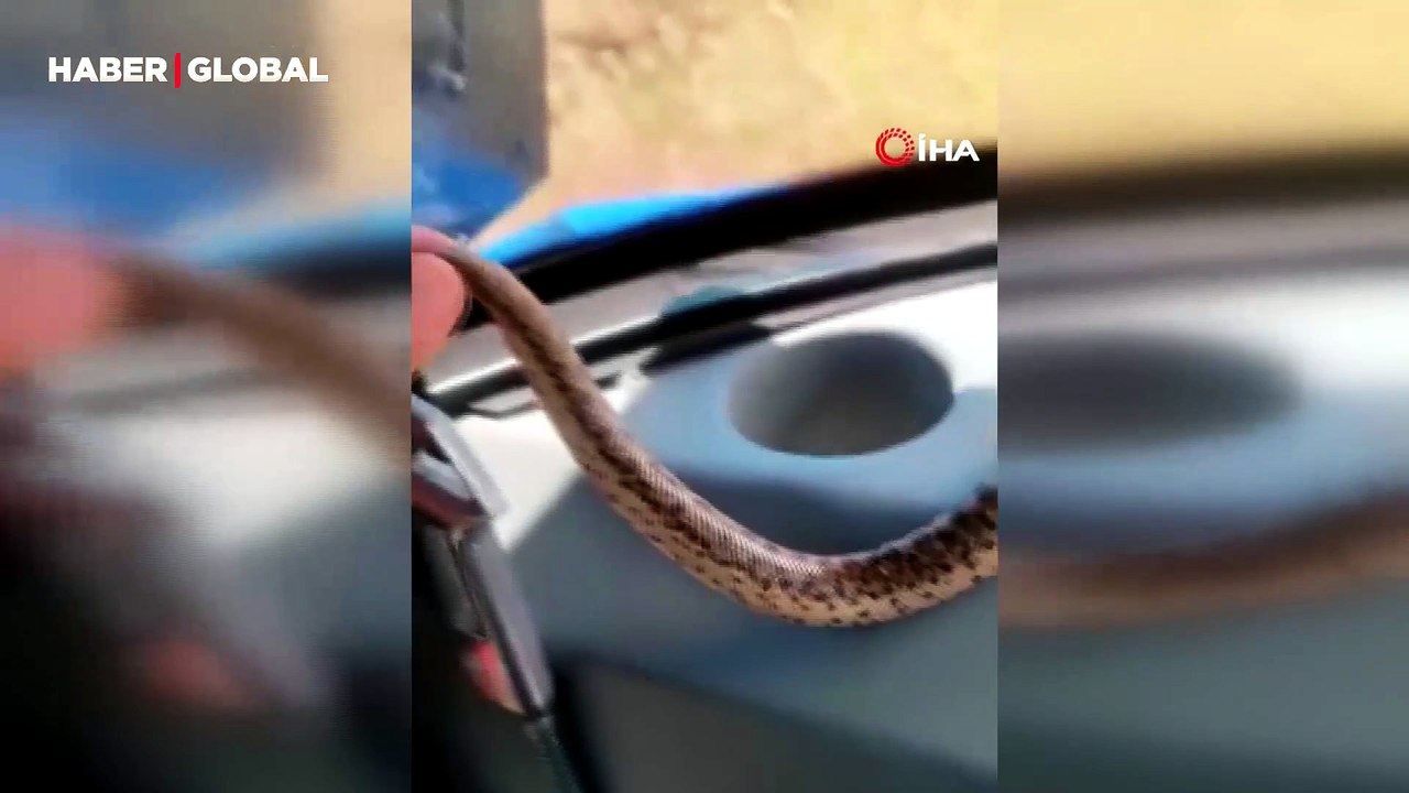 Elazığ’da vatandaş, yakaladığı yılanı traktörü ile gezdirdi: "Akıllı ol, birlikte takılacağız"