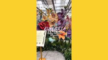 Eufloria, Tarikan Terbaharu Di Genting Yang Penuh Warna-Warni Bunga