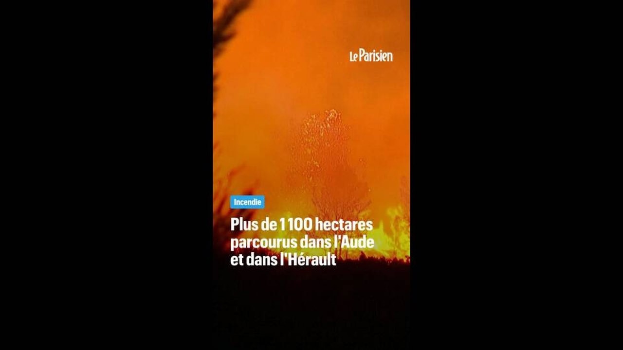Incendies près de Marseille : plus de 1 100 hectares parcourus