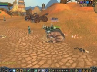 World of warcraft : meme les animaux s'amuse 1