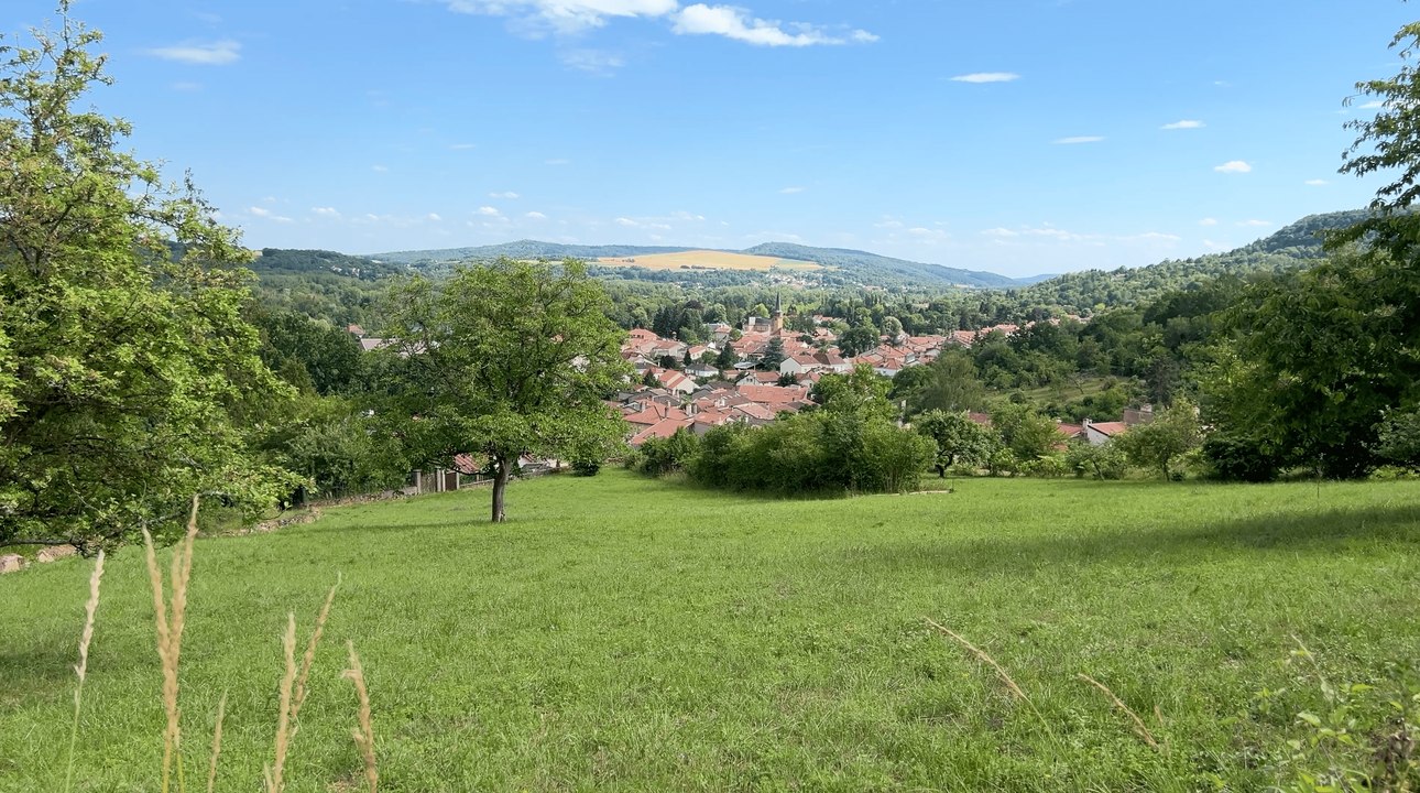 Au cœur du village : Ancy-Dornot, là où l'histoire rencontre les vignes