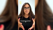 ¿Por qué los gatos y perros sacuden la cabeza?