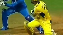 Cricket Lovely Shots