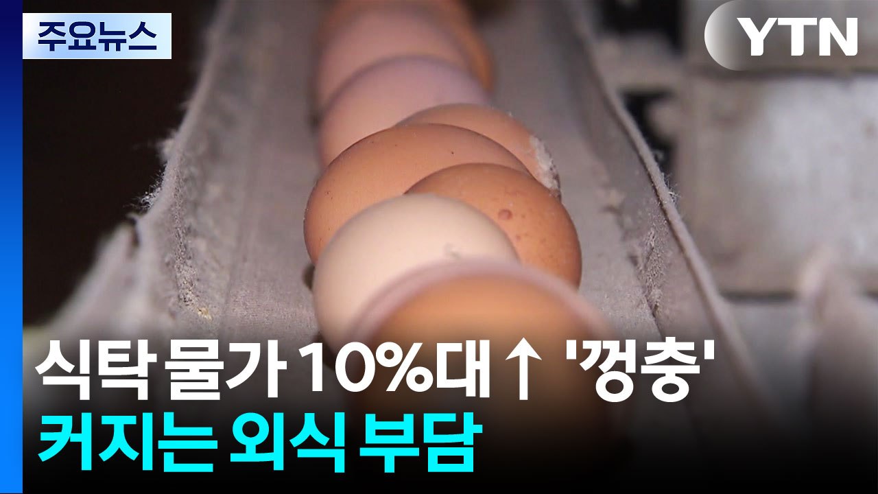 달걀 10%·쌀 11%↑ 밥상 물가 '껑충'...커지는 외식 부담 / YTN