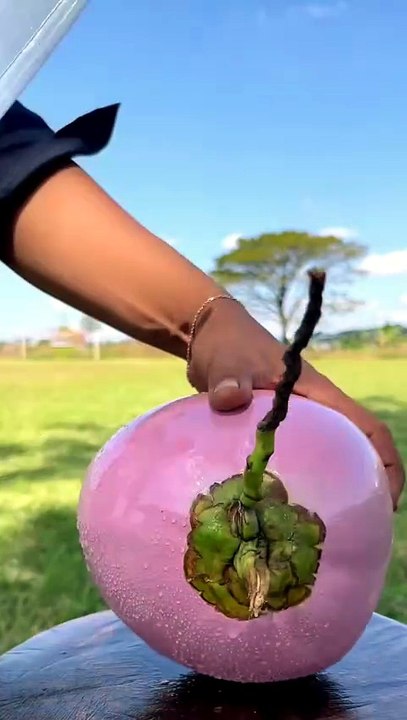 Coconut Cutting & Peeling ASMR