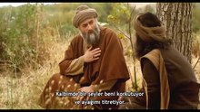 Celaleddin (6)