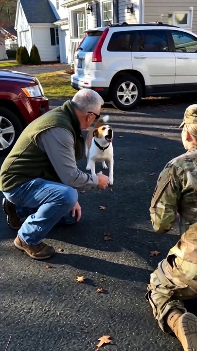 The heartbreaking moment he didn't recognize his soldier 💔🐾