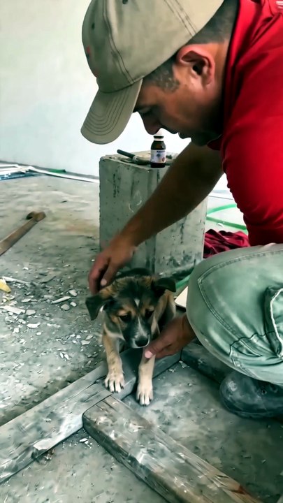 We Found This Puppy Just Seconds Before It Was Too Late... 🥺❤️