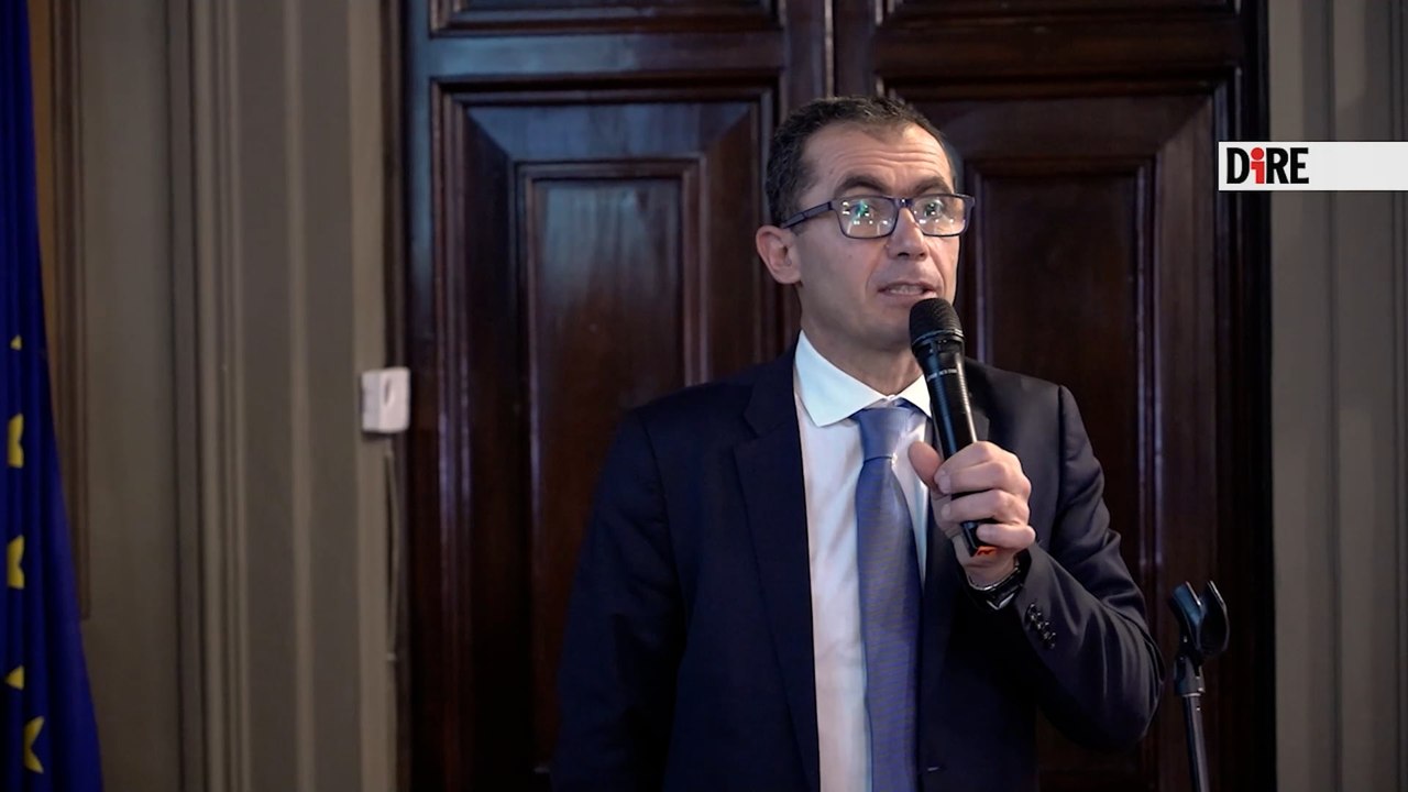 Salvare le testuggini (e i campi), l'oasi sul Reno studia come