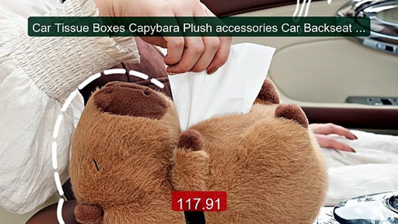 Car Tissue Boxes Capybara Plush accessories Car Backseat Hangi... -- Hot Deal 2026 | Limited Offer!