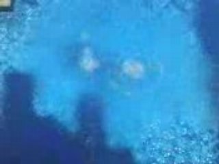 marseille championnat de france de plongeon