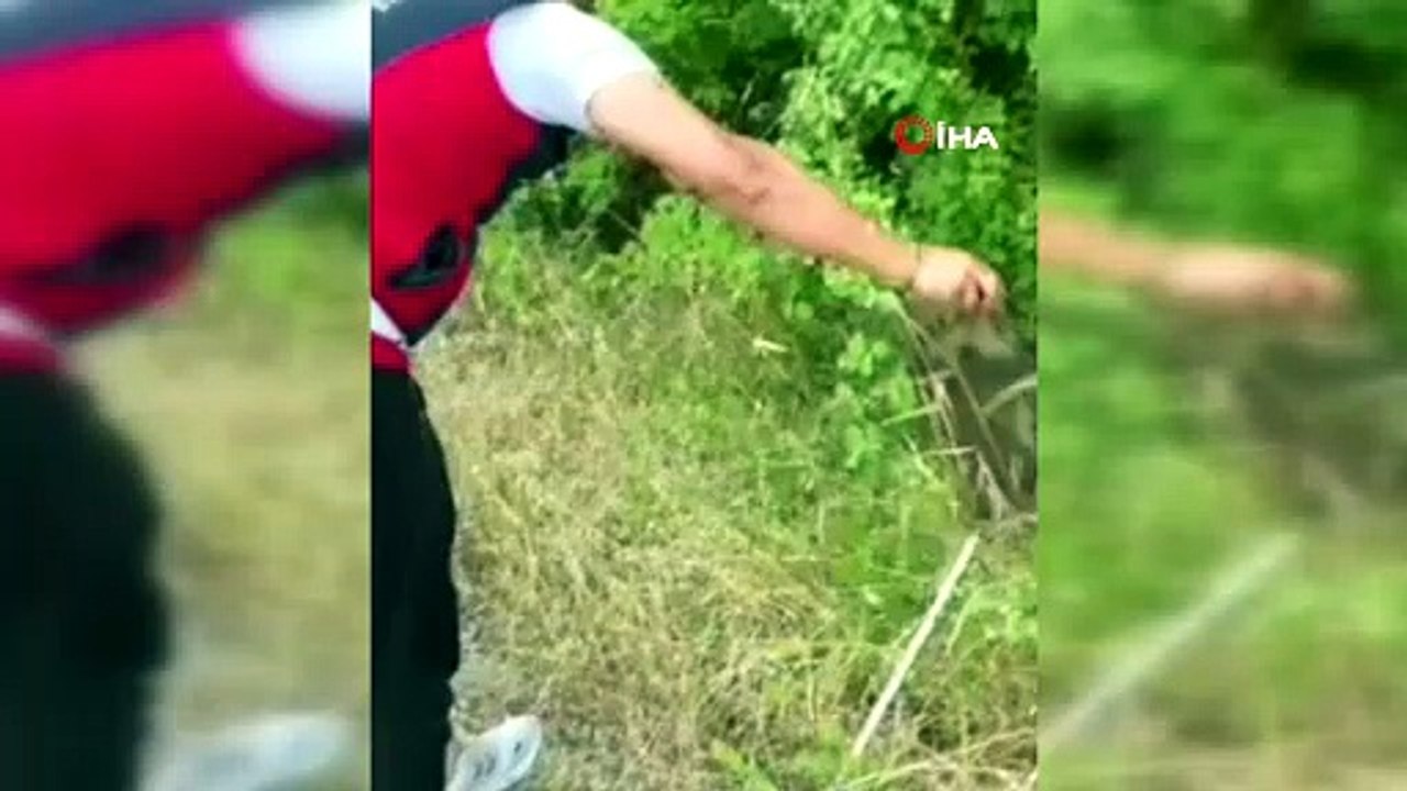 Bartın'da evde yılan paniği!