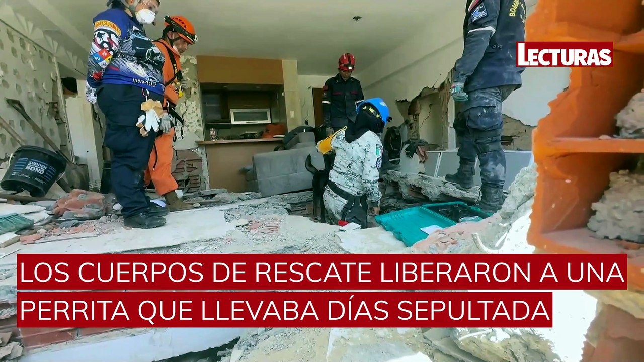 El emocionante rescate de una perrita en Venezuela tras una semana sepultada entre escombros