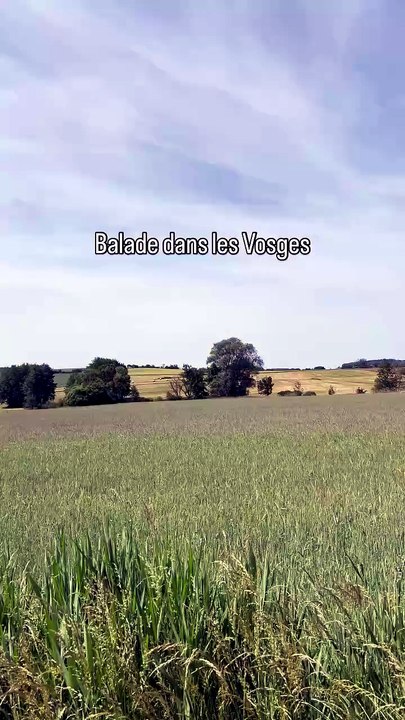 30-05-2026 Balade dans les Vosges.mp4