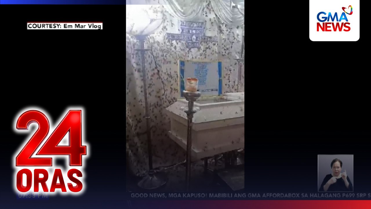 Burol, dinagsa ng mga gamu-gamo | 24 Oras