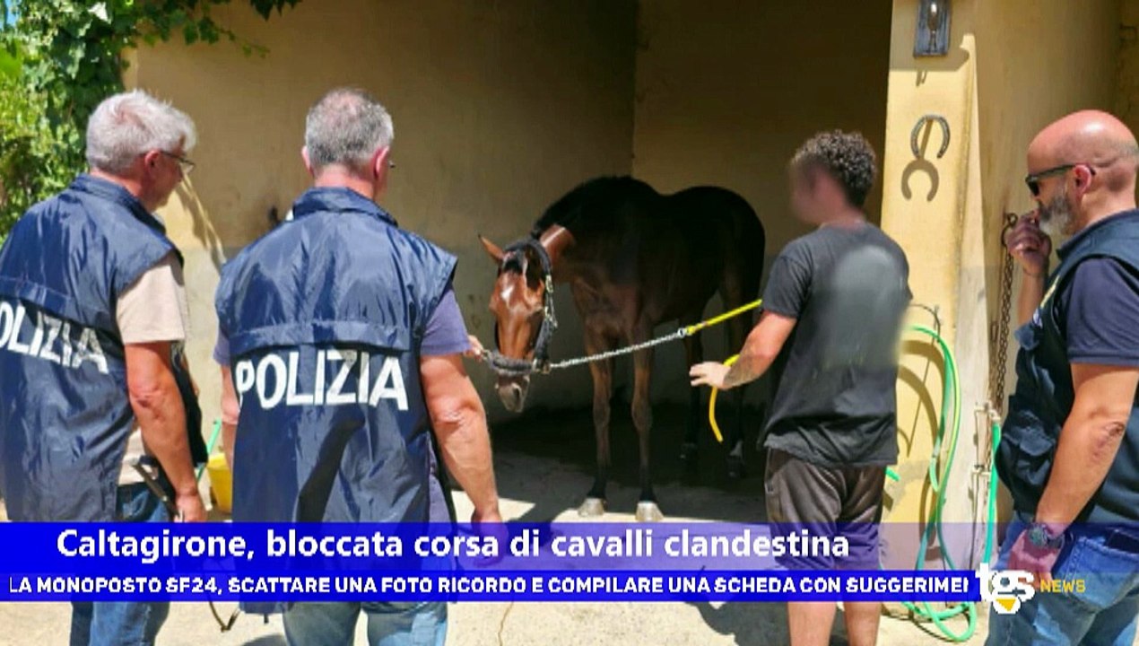 Il notiziario di Tgs, edizione del 2 luglio – ore 13.50