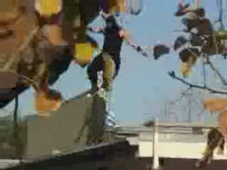 solid ninja