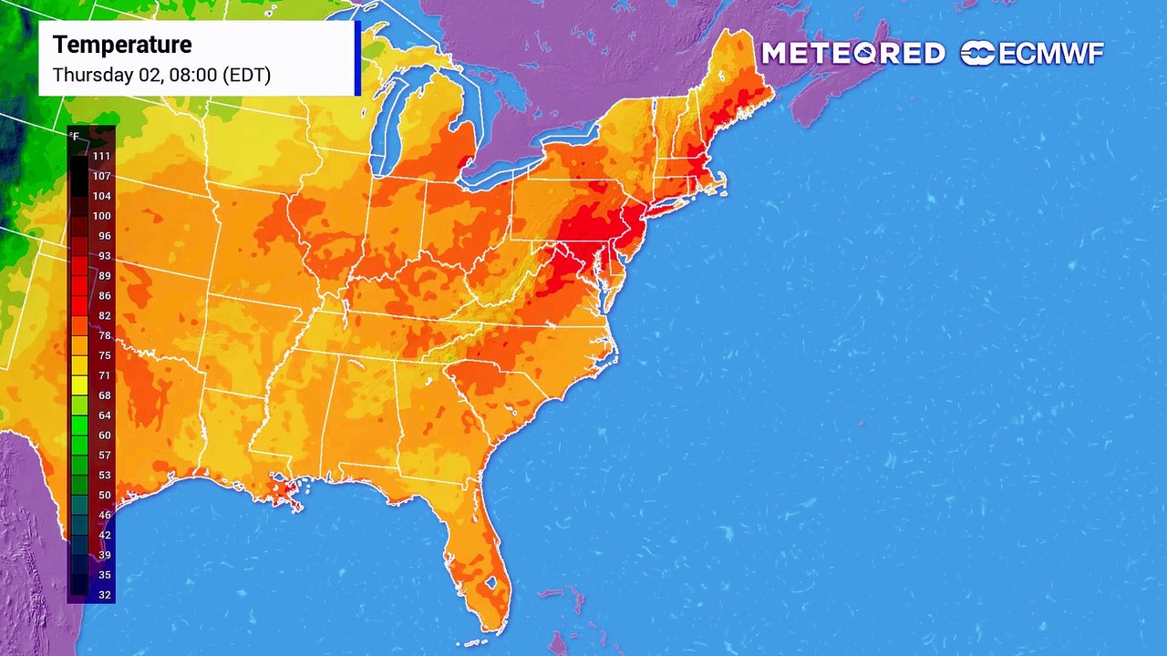 The summer's first major heat wave will ease for Chicago by this weekend.