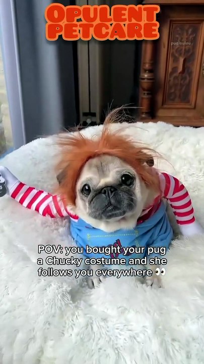 Funny Dog Halloween Costume – Chucky Cosplay Overalls with Striped Sleeves