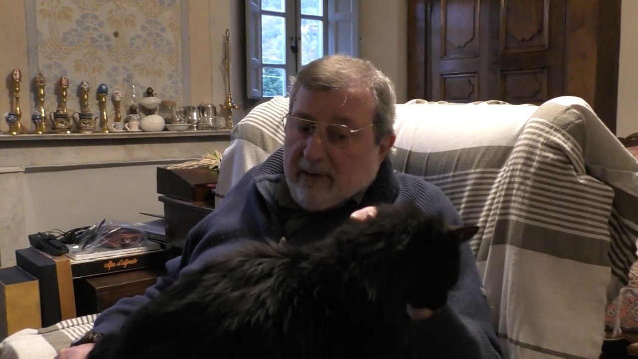 Francesco Guccini in campo per i gatti: "Io ne ho adottati tre, fatelo anche voi"