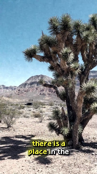 What Really Happens Inside Area 51?