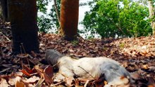 Wild Colombia 野性哥伦比亚