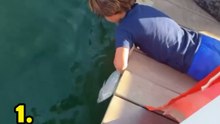 Top 3 Best Fishing Moments