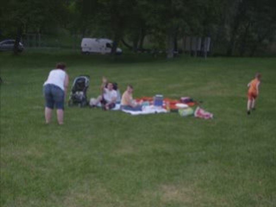 Picnic