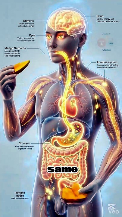 This Sweet Fruit Boosts Your Immunity Like Crazy 😳🛡️