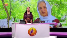 NÛÇE - BÊRÎVAN HESSO
