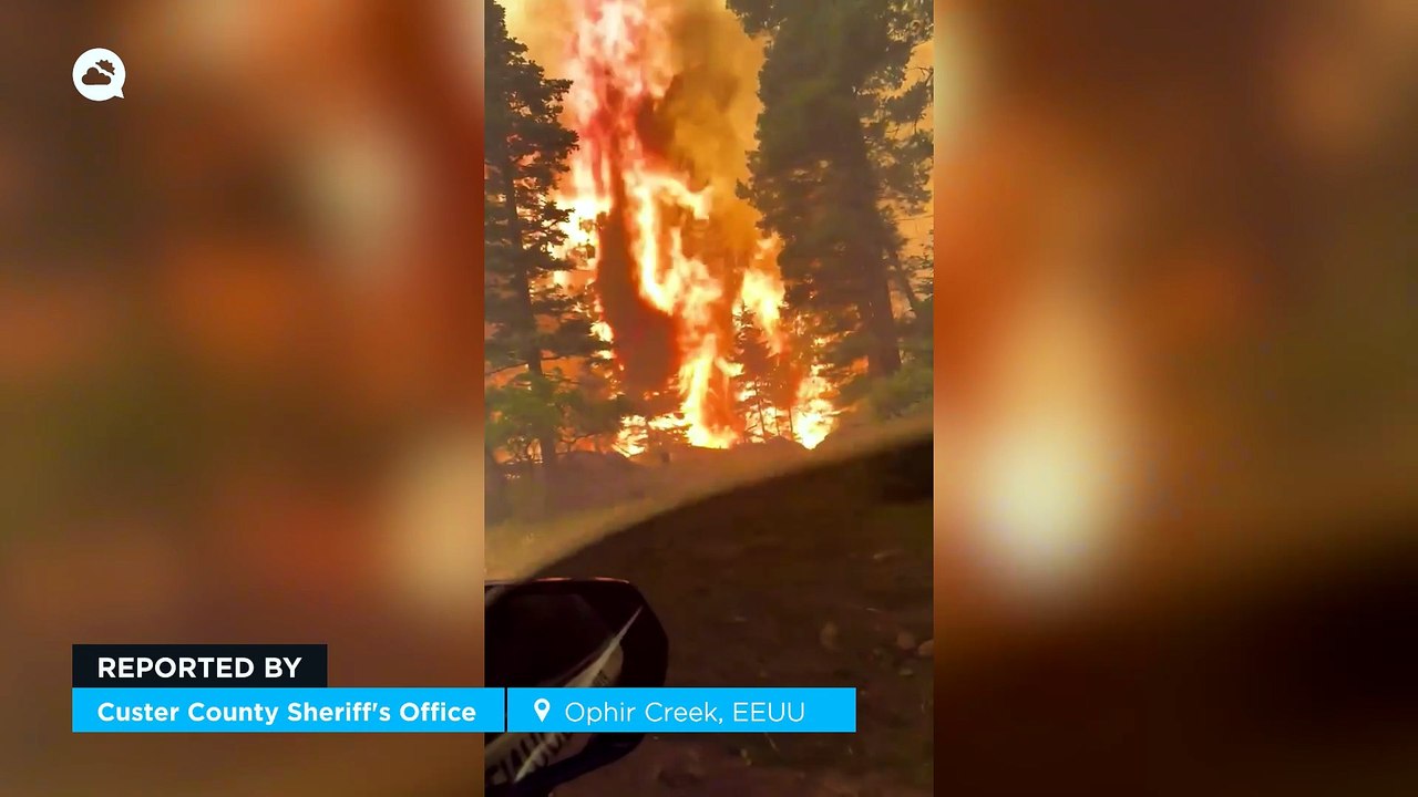 Wildfire at Ophir Creek