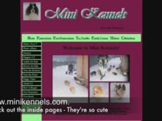 Web Design Examples from Windsor, ON Designer