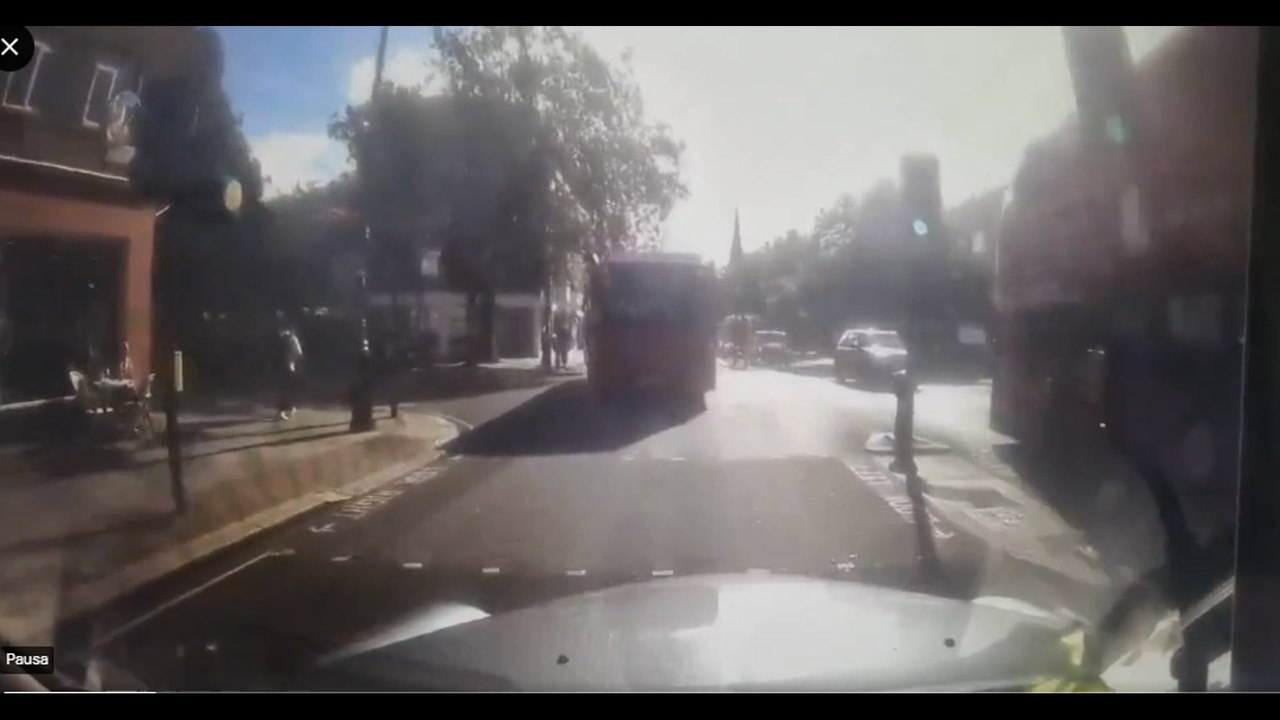 A Londra cavalli per le strade