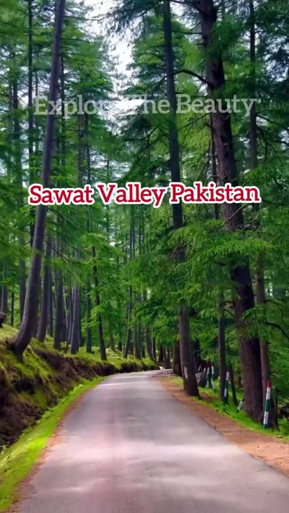 Sawat vally | Explore the Beauty | Most Beautiful Place #sawatpakistan