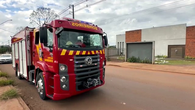 Filhote de cascavel é capturado pelos Bombeiros de Cascavel