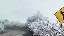 snapsave-app_4454634408158273_hd.mp4