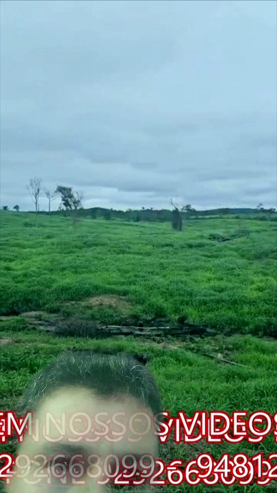 FAZENDA COM 214 ALQUEIRÃO A VENDA CMC
