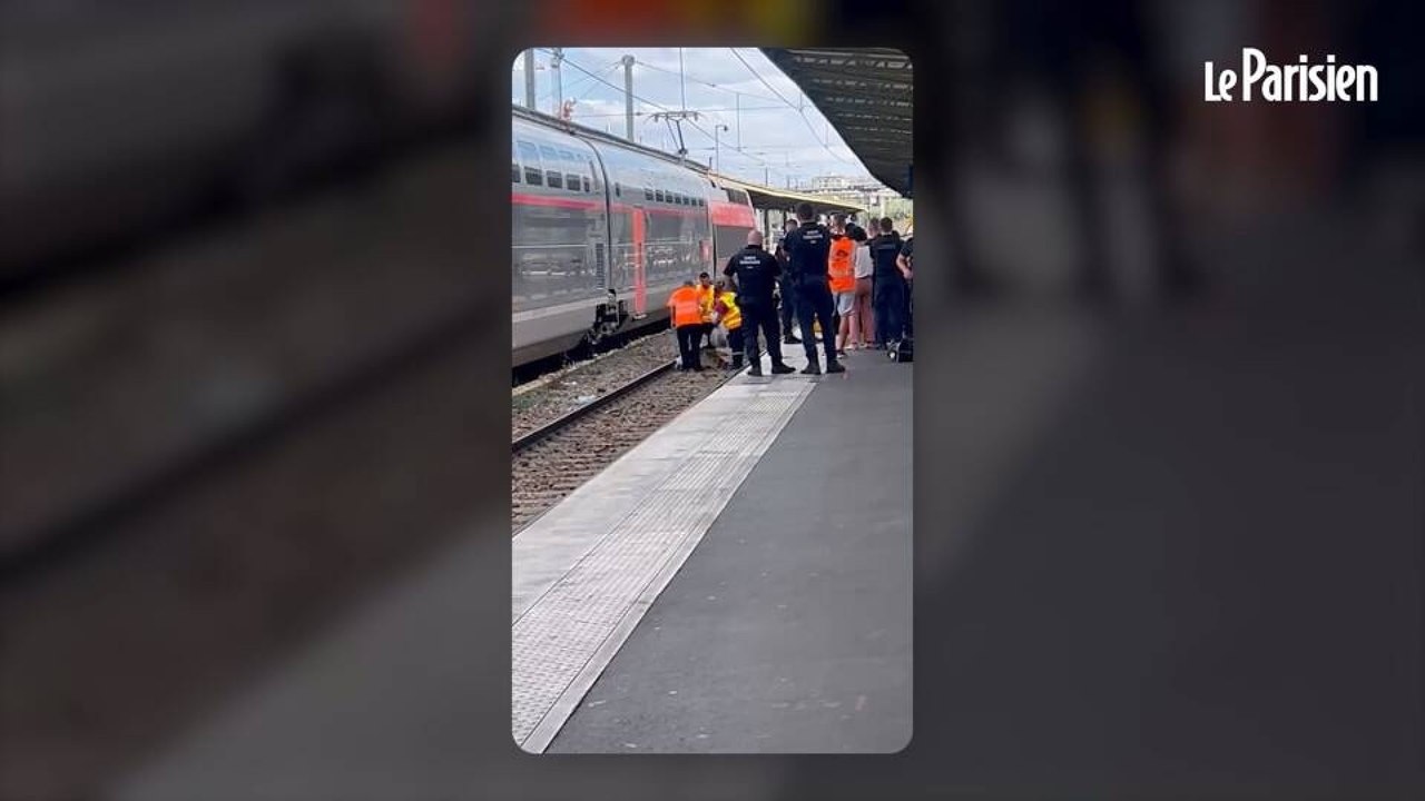 Gare de Lyon : son chat s’échappe et finit écrasé par un train