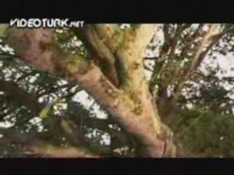 Birolcan - Seven Ölsün Mü