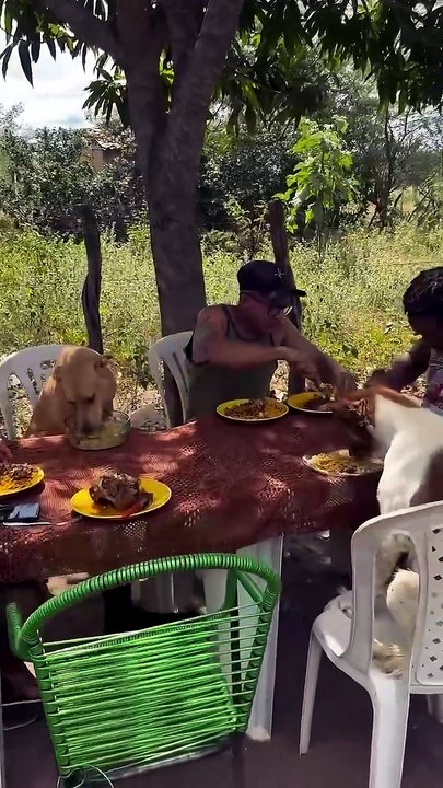 🐶 Bastião também faz parte da família... e alm...