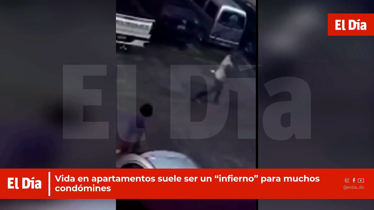 Vida en apartamentos suele ser un “infierno” para muchos condómines